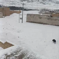 زمین مسکونی