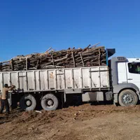 خریدار چوب شما