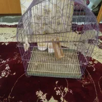قفس پرنده