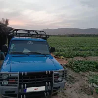 نیسان ۴۰۳ آپشنال دوگانه سوز شرکتی