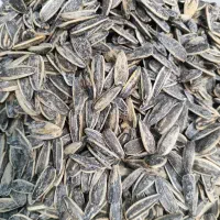 پخش عمده تخمه آفتابگردان و کدو|خوردنی و آشامیدنی|نظرآباد, نظرآباد|دیوار