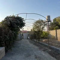 باغچه|فروش زمین و ملک کلنگی|ماهدشت, |دیوار