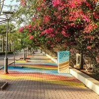 فروش ۱ خواب فازF