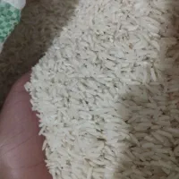 برنج هاشمی درجه یک سورتینگ زده