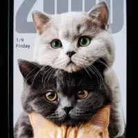 شیائومی 14T Pro حافظه 512 رم 12|موبایل|مشهد, آزادشهر|دیوار