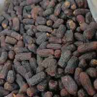 پیارم اصل حاجی آباد عمده