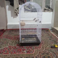 قفس بزرگ