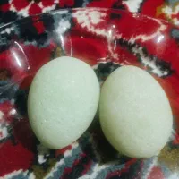 اشیا