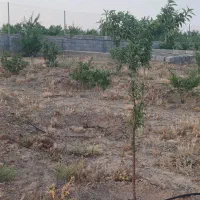 فروش زمین ۲۷۵۰ متردر قاضی بالا.شرایط نقدواقساط|فروش زمین و ملک کلنگی|قم, آزادگان|دیوار