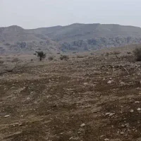 باغ-رزی-در-شهرک-جوادیه