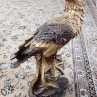 مجسمه طرح عقاب زیبا و بدون شکستگی