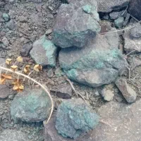 فروش یا ثبت معدن مس