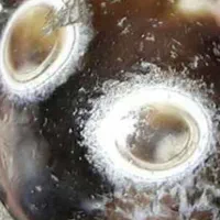 انواع سنگ و مهره برای تمام امورات شدید