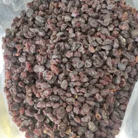 مویز آفتابی کشمش افتابی خمیر خرما شیره