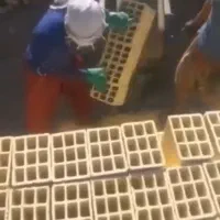 جشنواره تیغه ۱۰ و ۱۵