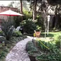 مراقب سالمند