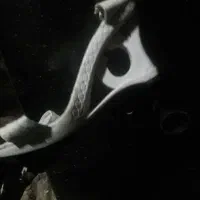 لوازم شخصی|کیف، کفش، کمربند|اهر, |دیوار