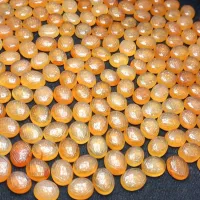 هفت شرف ضابطی