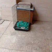 قفس پرنده بزرگ