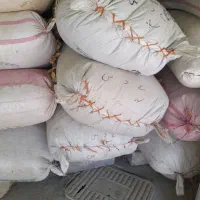 عدس سیاه محلی و جو محلی