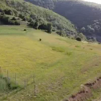 فروش مزرعه وتاسیسات دامپروری درمنطقه ۴دانگه ساری|فروش دفتر صنعتی، کشاورزی، تجاری|کیاسر, |دیوار