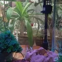 فروش آکواریوم