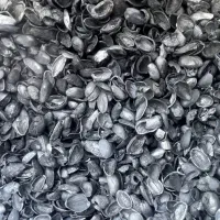 نیازمند کارگر ساده و دائمی با حقوق توافقی