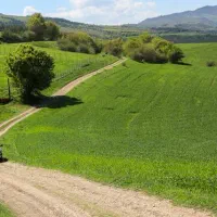 فروش زمین /رویان /۴۰۰متر