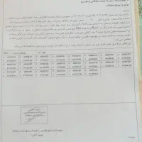 زمین مسکونی و باغی در جاده لاهیجان به سیاهکل ازبرم|فروش زمین و ملک کلنگی|سیاهکل, |دیوار