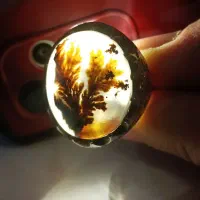 انگشتر شجر|جواهرات|تبریز, |دیوار