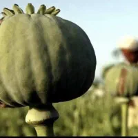 رها شو(با کادر ما)|فعالیت داوطلبانه|گرگان, |دیوار