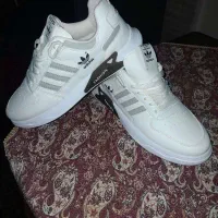 کتونی آدیداس