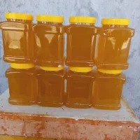 فروش عسل گون گز