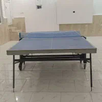 میز پینگ پنگ|ورزشهای توپی|بندر گناوه, |دیوار