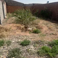 ۱۰ قصب امام حسن رهبه زعفرانیه حسن اباد