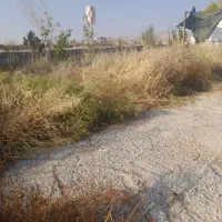 اجاره زمین جاده صدرا|اجارهٔ دفتر صنعتی، کشاورزی، تجاری|شیراز, شهرک قمشه|دیوار