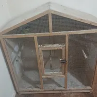 قفس پرنده
