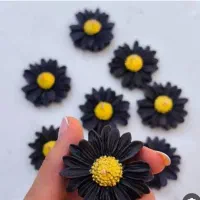 گیفت بابونه