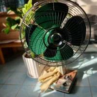 تمام ژاپن پلمپ و لاک خورده گرجستان