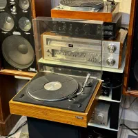 گرام  کلکسیونی YAMAHA