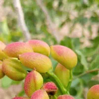 دنبال کار مناسبم