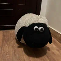 عروسک سایز بزرگ تمیز و خوشگل هر عدد ۴۰۰ ت