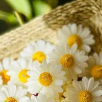 شمع وگیفت|صنایع دستی و سایر لوازم تزئینی|قم, امامزاده ابراهیم|دیوار