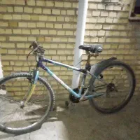 دوچرخه ویوا