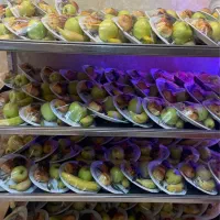 دورهمی مختص بانوان ۱۸ خرداد