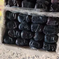فروش خرما