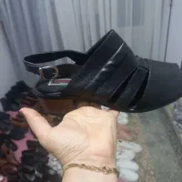 کفش نو|کیف، کفش، کمربند|دورود, |دیوار