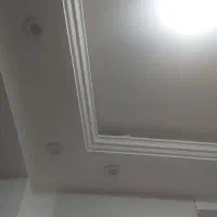 ماکت گل و گچ.وسفید|گل و گیاه طبیعی|آبدانان, |دیوار