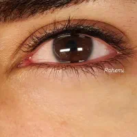 خدمات میکروپیگمنتیشن و میکروبلیدینگ|خدمات آرایشگری و زیبایی|قم, بکایی|دیوار