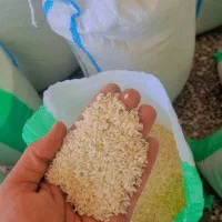 فروش برنج چمپا درجه یک پاک کردن برنج و خورده برنج|خوردنی و آشامیدنی|یاسوج, |دیوار